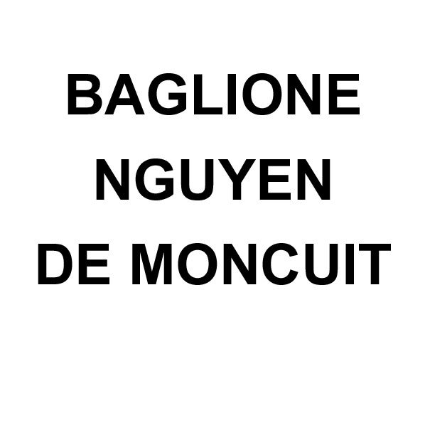 Baglione Nguyen de Moncuit SELARL avocat