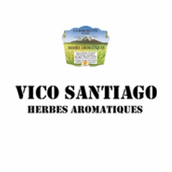 Vico Santiago