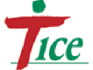 Tice Transports et logistique