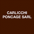 Carlicchi Ponçage SARL