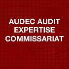 Audec Audit Expertise Commissariat commissaire aux comptes