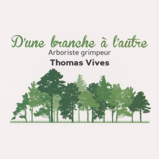 D'une branche à l'autre