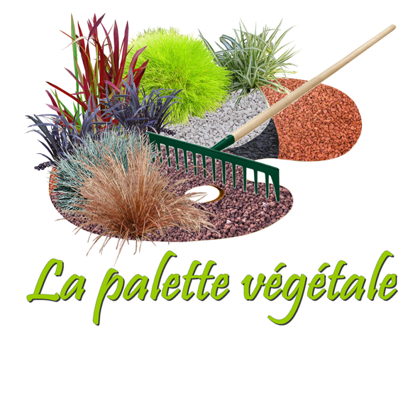 La Palette Végétale entrepreneur paysagiste