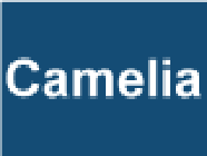 Camélia