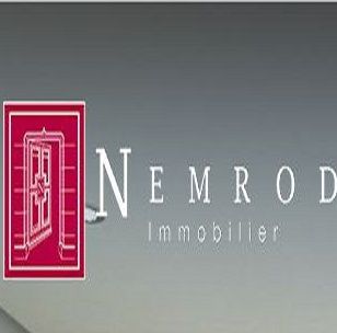 NEMROD Immobilier