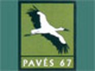Paves 67