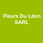 Fleurs Du Léon SAS entrepreneur paysagiste