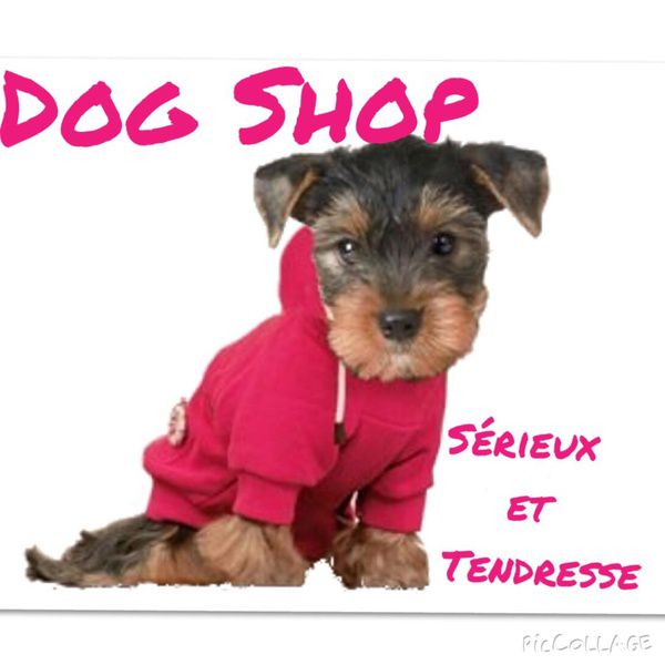 Dog Shop animalerie (fabrication, vente en gros de matériel, fournitures)