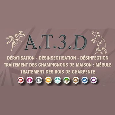 A-t-3-d bois (détail)