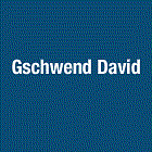 Gschwend David