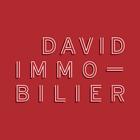 David Immobilier agence immobilière