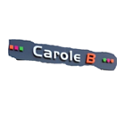 Carole B SARL vêtement de travail et professionnel (détail)