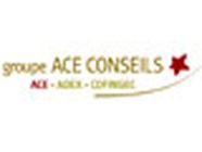 ACE CONSEILS commissaire aux comptes