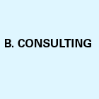 B Consulting conseil départemental