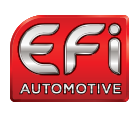 Efi Lighting construction, importation d'automobiles