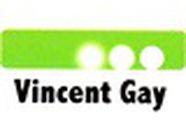 Gay Vincent psychothérapeute