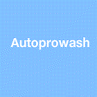 Auto pro wash