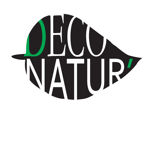 Deco Natur' EIRL peintre (artiste)