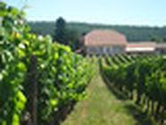 Domaine du Peyrié vin (producteur récoltant, vente directe)