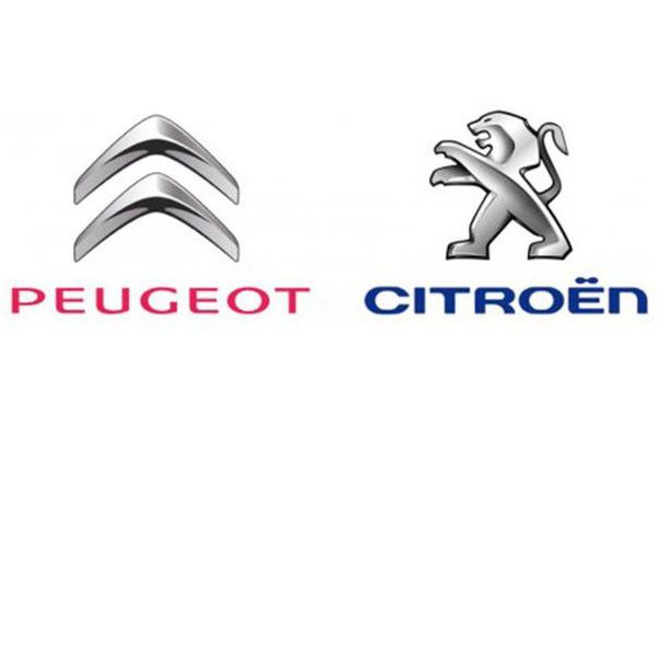 Peugeot Citroën Garage Guérard M Agent