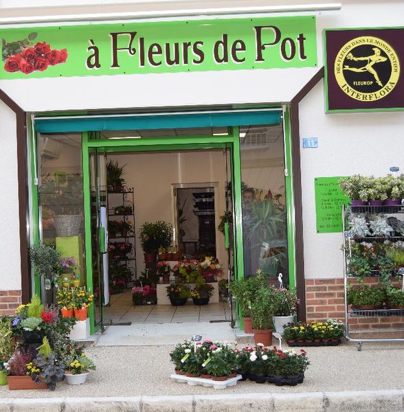 A fleur de Pot fleuriste