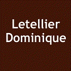 Letellier Dominique ramonage