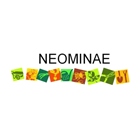 Neominae nettoyage vitres