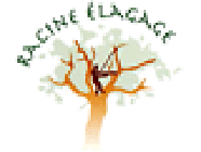 Racine Elagage entrepreneur paysagiste