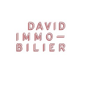 David Immobilier agence immobilière