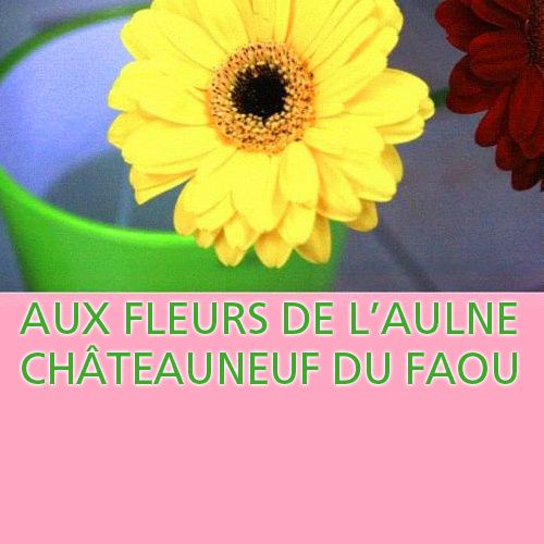 Aux Fleurs de l'Aulne fleuriste