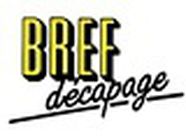 Bref Décapage décapage et dégraissage (préparation des surfaces)