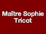 Tricot Sophie avocat