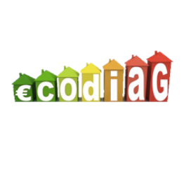 Ecodiag