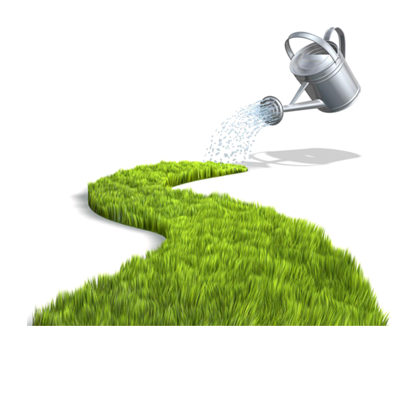LD Paysage SARL entrepreneur paysagiste