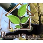 Renard Elagage entrepreneur paysagiste