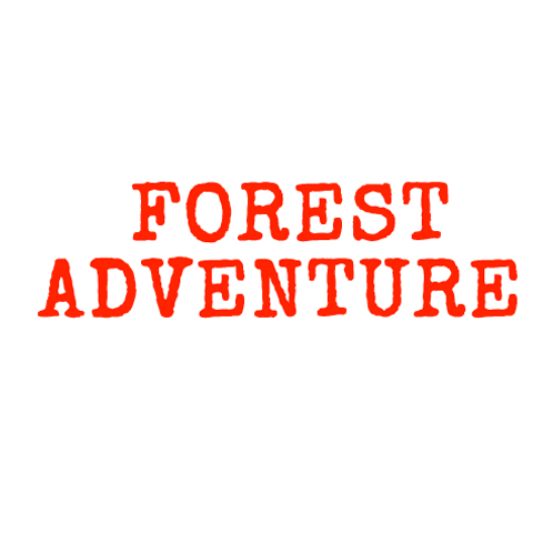 Forest Adventure parc d'attractions et de loisirs