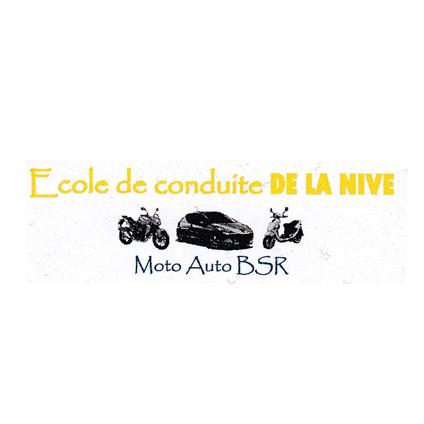 Conduite Nive auto école