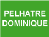 Pelhatre Dominique dépannage et remorquage d'automobile