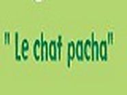 Chat pacha Hôtel service pour animaux