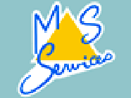 MS Services