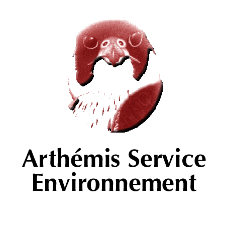 Arthemis Service Environnement entrepreneur paysagiste