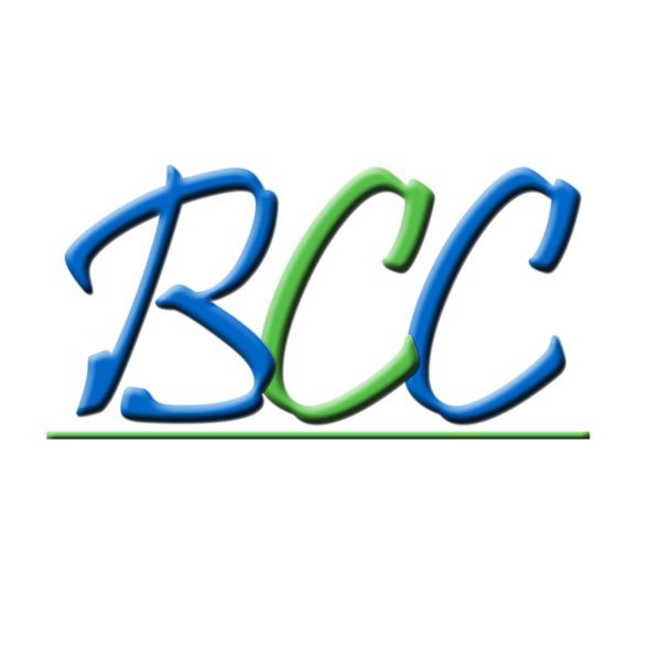 BCC Construction, travaux publics