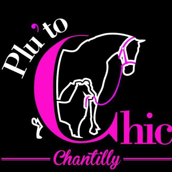 Plu'to Chic animalerie (fabrication, vente en gros de matériel, fournitures)