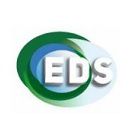 E.D.S