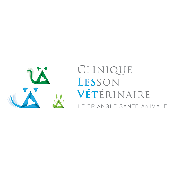 SELARL De Vétérinaires Lesson clinique vétérinaire