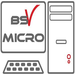 BSV Micro Informatique, télécommunications