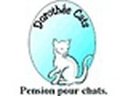 Dorothée Cats service pour animaux