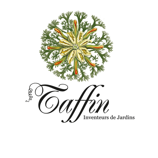 Taffin Paysagisme et Jardinerie de Curiosités pépiniériste