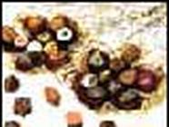 Grimmer Artisan Chocolatier chocolaterie et confiserie (détail)