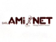 Ami Net